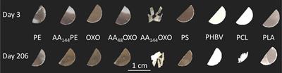 Bacterial Abundance, Diversity and Activity During Long-Term Colonization of Non-biodegradable and Biodegradable Plastics in Seawater